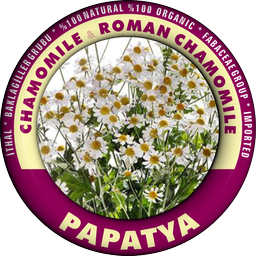 CHAMOMILE GROUP