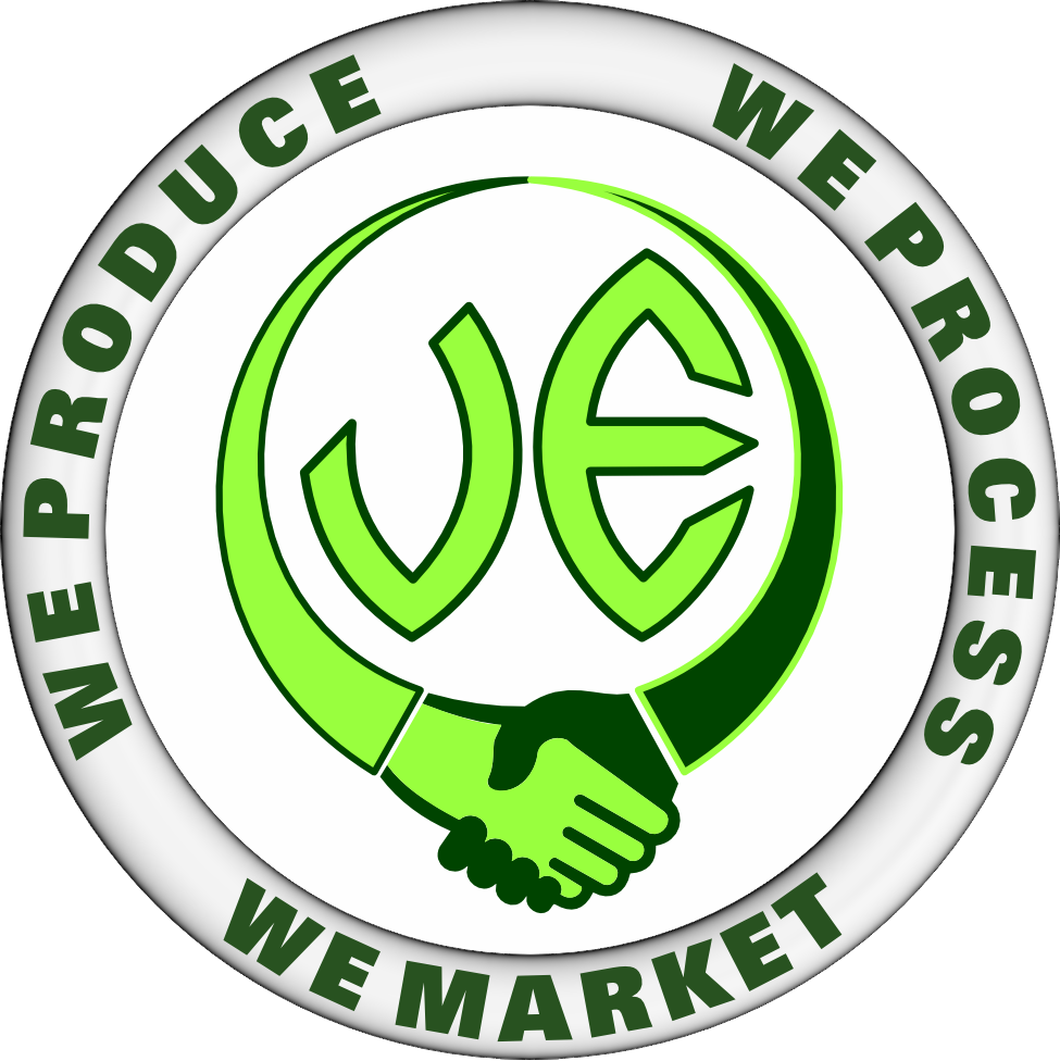 MIXED MEDITERRANEAN SALAD