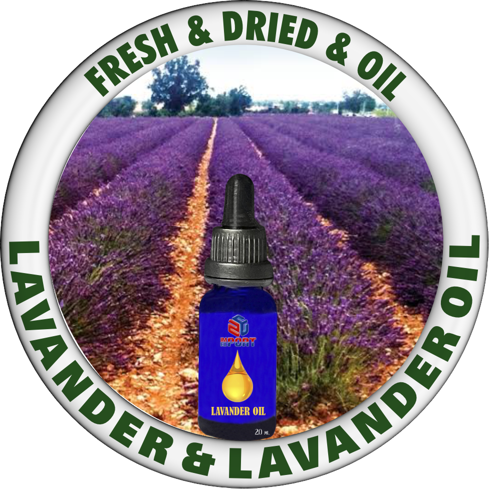 LAVANDER GROUP
