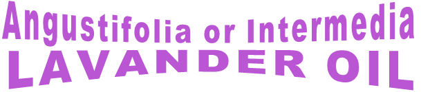 Angustifolia or Intermedia LAVANDER OIL