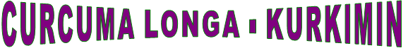 CURCUMA LONGA - KURKIMIN